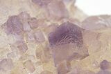 Purple Cubic Fluorite w/ Second Generation Growth - Cave-In-Rock #208821-2